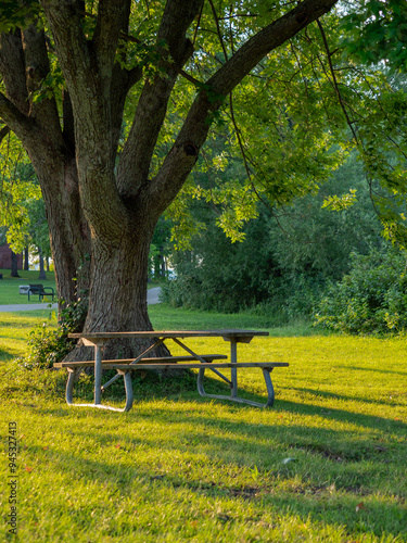 Park Picnic table bench rest relax outdoors. Benches and tables on green grass in recreational area.