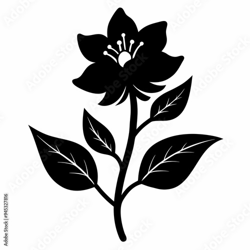 Balsam flower Black silhouette