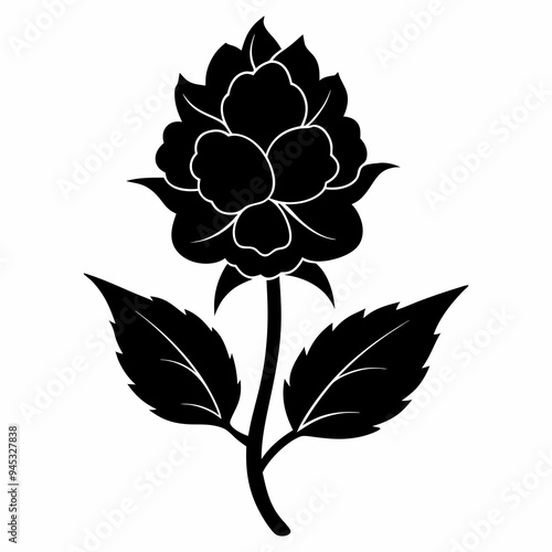 Balsam flower Black silhouette