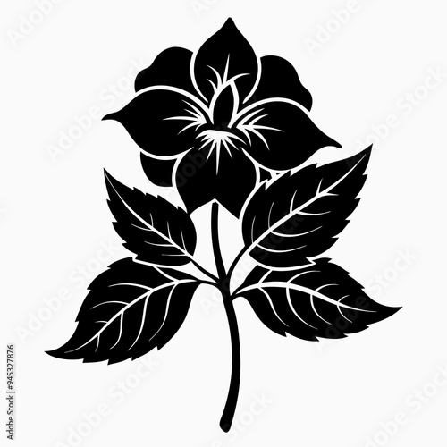 Balsam flower Black silhouette