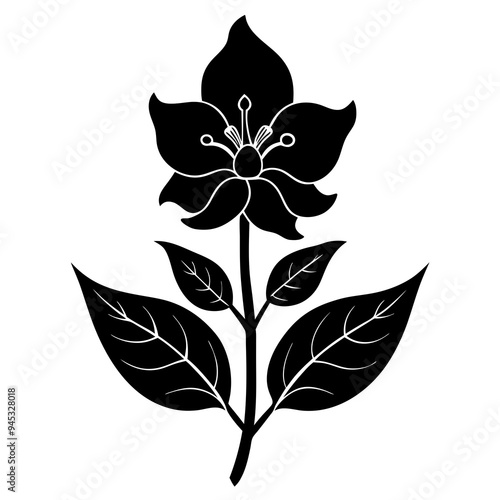 Balsam flower Black silhouette