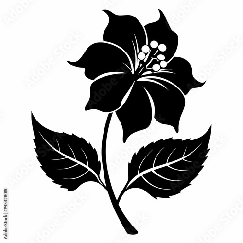 Balsam flower Black silhouette