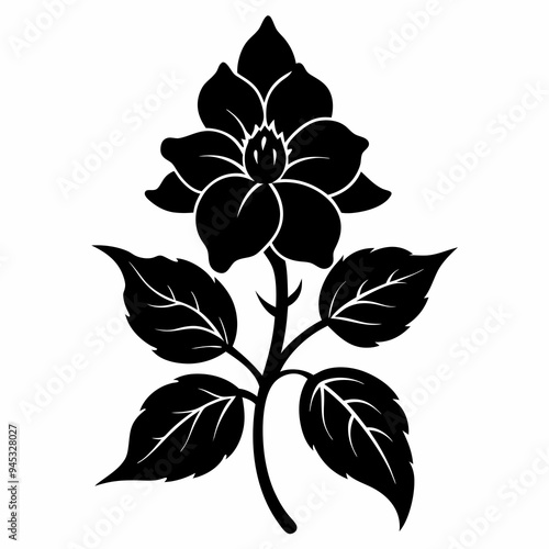 Balsam flower Black silhouette