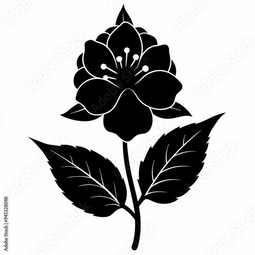 Balsam flower Black silhouette