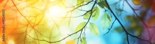 Colorful abstract image of leaves with sunlight filtering through, creating a beautiful gradient of hues from yellow to blue.