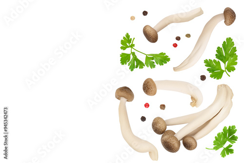 Brown beech mushrooms or Shimeji mushroom isolated on white background . Top view with copy space for your text, flat lay photo