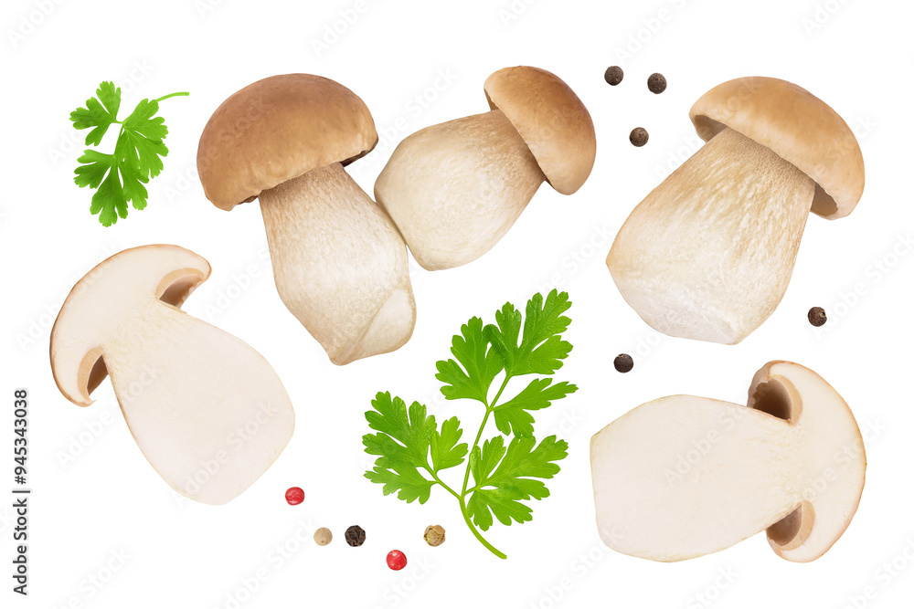 Fototapeta premium Fresh porcini cep mushroom isolated on white background. Top view. Flat lay