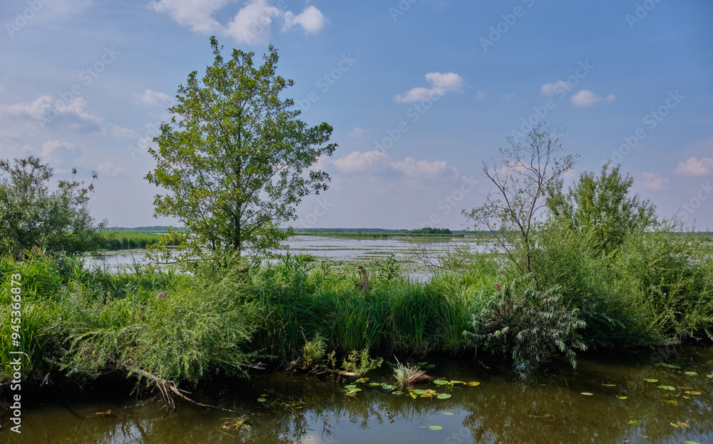 Druzno Lake in summer Druzno Lake in summer