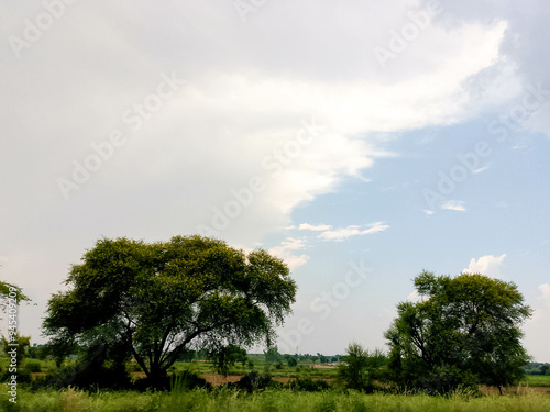 Beautiful Village seen , trees with sky background