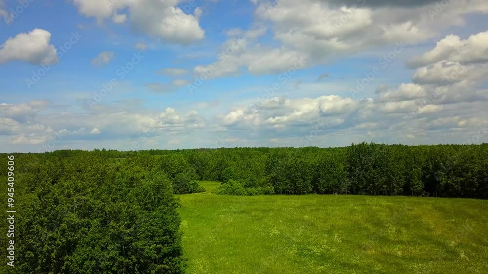 Beautiful summer suburban landscape 