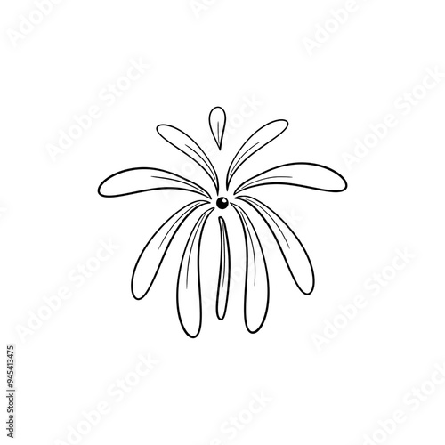 white lily flower