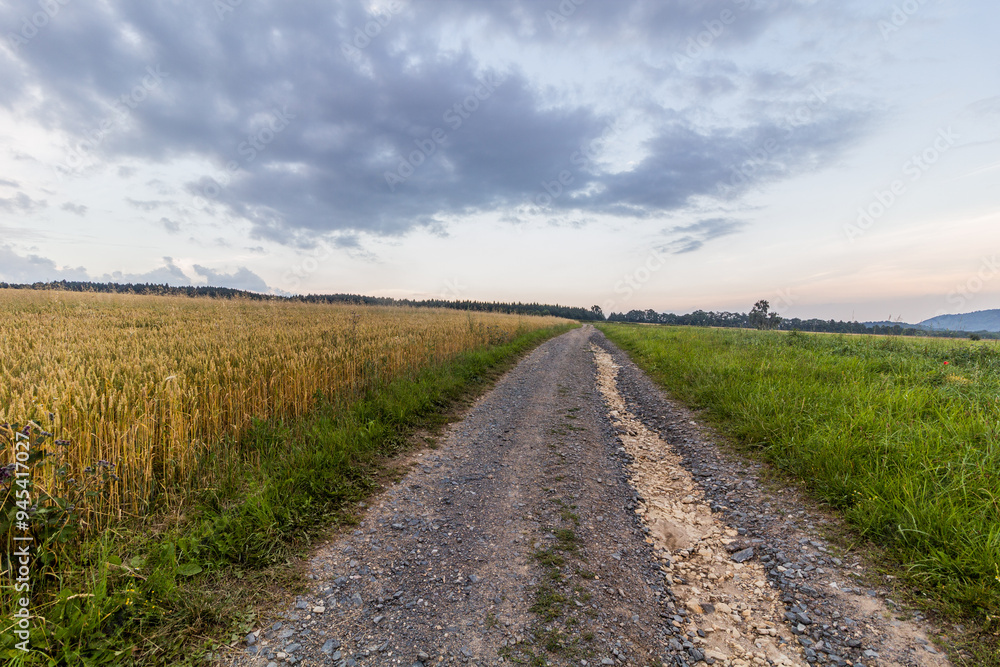 Path through fields near Letohrad, Czech Republic Path through fields near Letohrad, Czech Republic