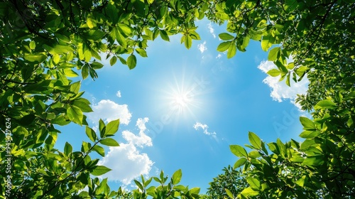 A bright sun shines through green leaves, creating a serene natural frame against a clear blue sky.