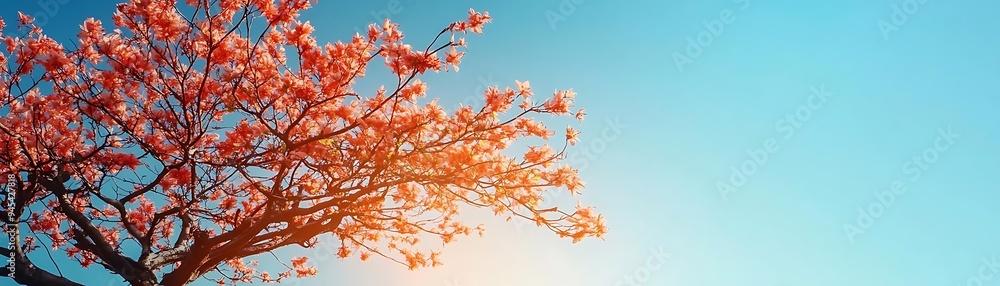 Pink Blossom Tree Branch Against Blue Sky Illustration Pink Blossom Tree Branch Against Blue Sky Illustration