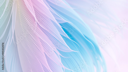 pastel colour feather abstract background