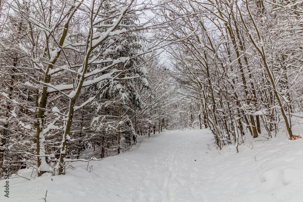 Winter snow covered path in Cesky raj area, Czech Republic Winter snow covered path in Cesky raj area, Czech Republic