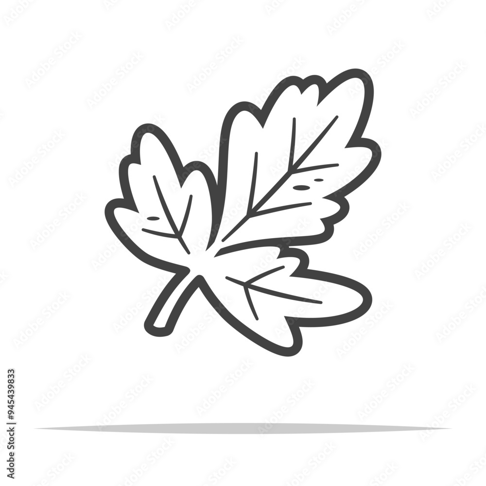 Celery leaf outline icon transparent vector isolated Celery leaf outline icon transparent vector isolated