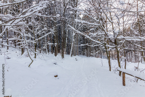 Winter snow covered view of a path in Prachovske skaly rocks in Cesky raj (Czech Paradise) region, Czech Republic