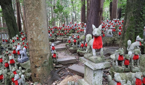  A Japanese temple : a scene of the precincts of Myogon-ji Temple in Toyokawa City in Aichi Prefecture　日本のお寺：愛知県豊川市にある妙厳寺の境内風景 photo