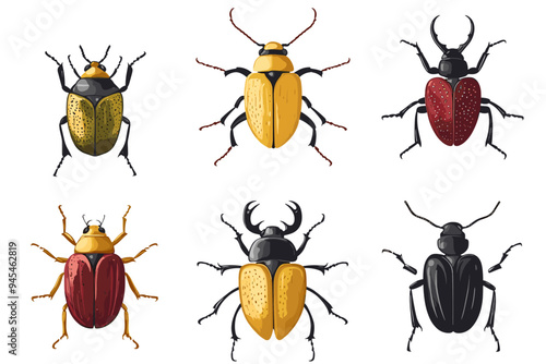Vector drawing set of bugs, beetles and insects hand drawn insect isolated at white background