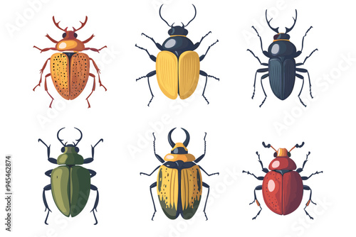 Vector drawing set of bugs, beetles and insects hand drawn insect isolated at white background