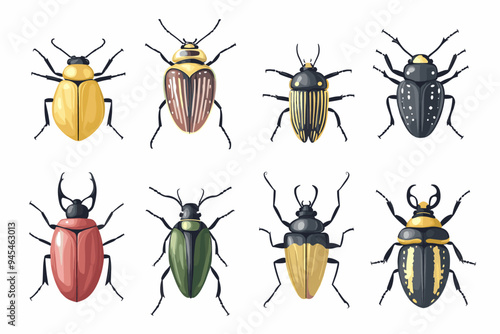 Vector drawing set of bugs, beetles and insects hand drawn insect isolated at white background