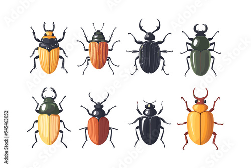 Vector drawing set of bugs, beetles and insects hand drawn insect isolated at white background