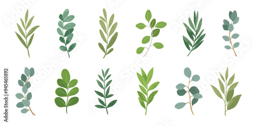 Collection of botanical elements in green color. Set of eucalyptus leaf, branches, leaves and herb with watercolor. Hand drawn of foliage vectors for wedding decor, website, graphic and shop.