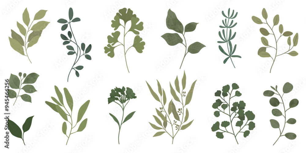 Collection of botanical elements in green color. Set of eucalyptus leaf, branches, leaves and herb with watercolor. Hand drawn of foliage vectors for wedding decor, website, graphic and shop. Collection of botanical elements in green color. Set of eucalyptus leaf, branches, leaves and herb with watercolor. Hand drawn of foliage vectors for wedding decor, website, graphic and shop.