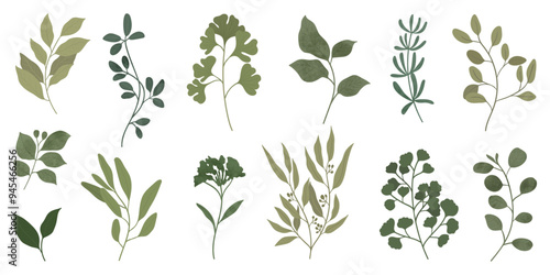 Collection of botanical elements in green color. Set of eucalyptus leaf, branches, leaves and herb with watercolor. Hand drawn of foliage vectors for wedding decor, website, graphic and shop.