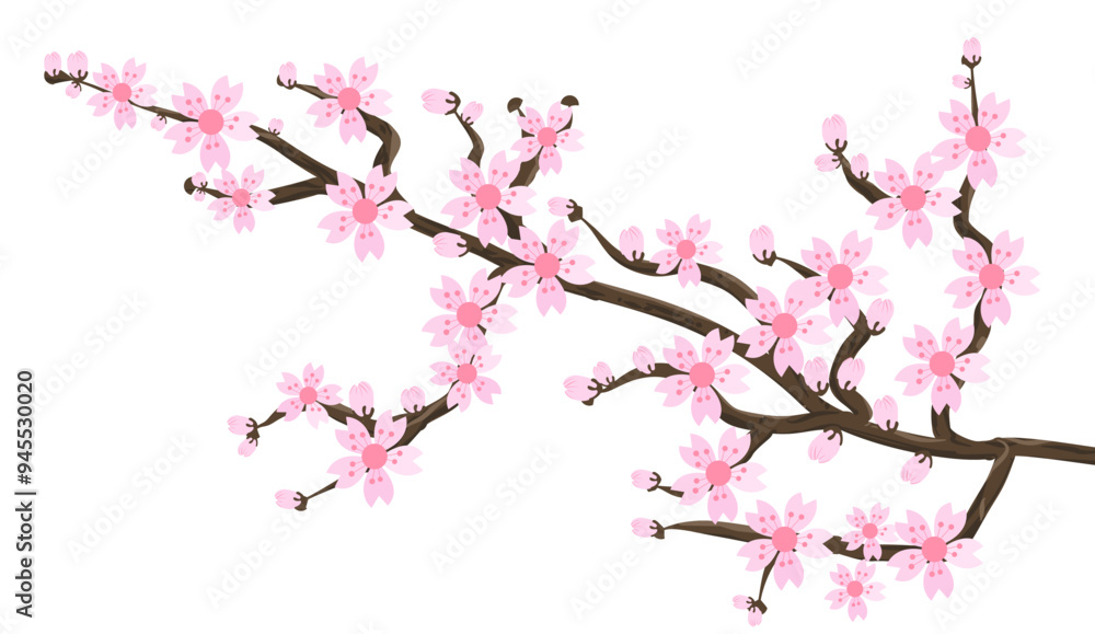 Branch pink Sakura flowers isolated on white background. Branch pink Sakura flowers isolated on white background.