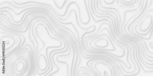 Abstract paper carve template. abstract white and gray 3d papercut topography relief vector background illustration. topographic canyon geometric map relief texture with curved layers and shadow.