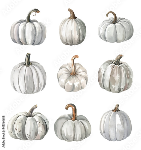 Watercolor set of white pumpkins png. White autumn pumpkins, elements for autumn designs, Halloween, Thanksgiving and more. Autumn concept. Vector illustration. photo