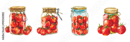 Watercolor set of glass jars with pickled tomatoes png. Canned tomatoes in brine. The concept of preparing food for the winter. Vector illustration.