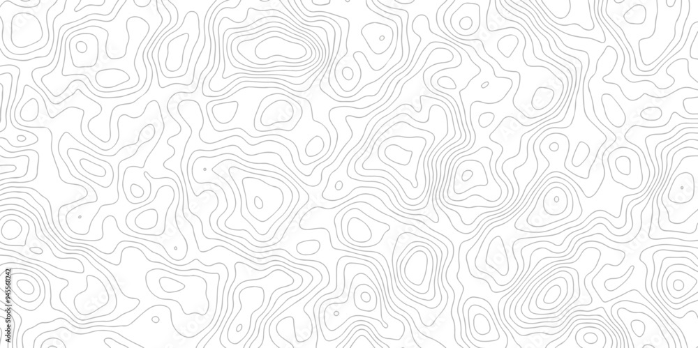 Black and white topography contour lines map isolated on white background. The stylized height of the topographic map contour in lines and contours isolated on transparent. topography line map. Black and white topography contour lines map isolated on white background. The stylized height of the topographic map contour in lines and contours isolated on transparent. topography line map.