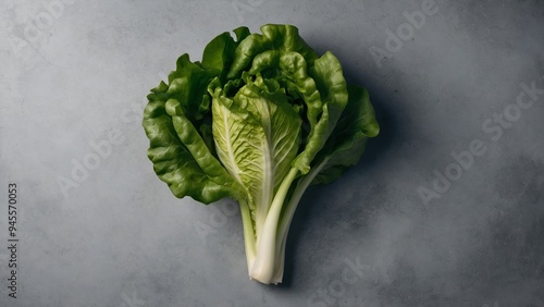 Wallpaper Mural a green lettuce that is on a gray surface Fresh Green Lettuce Isolated Leaves on Background Organic Torontodigital.ca