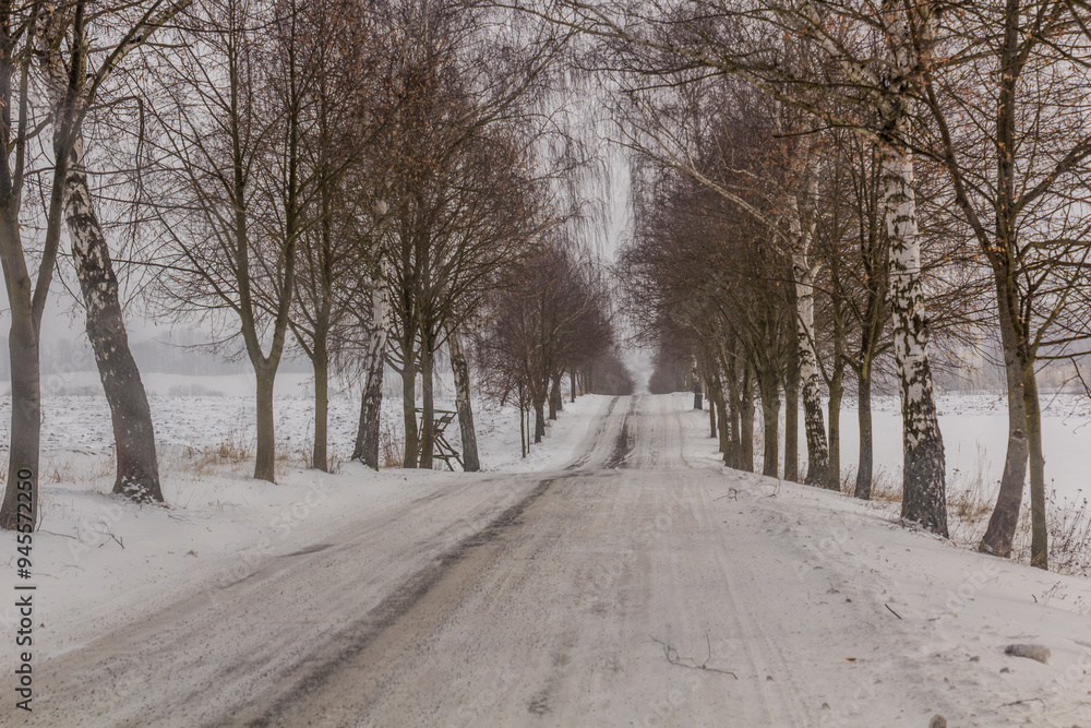 Winter view of a road near Letohrad, Czech Republic Winter view of a road near Letohrad, Czech Republic
