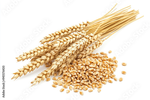 Wheat stalks with scattered grains on a white background.