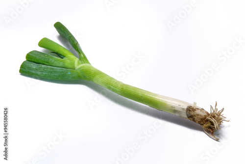 fresh leek or daun bawang on a white background photo