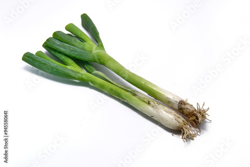 fresh leek or daun bawang on a white background photo