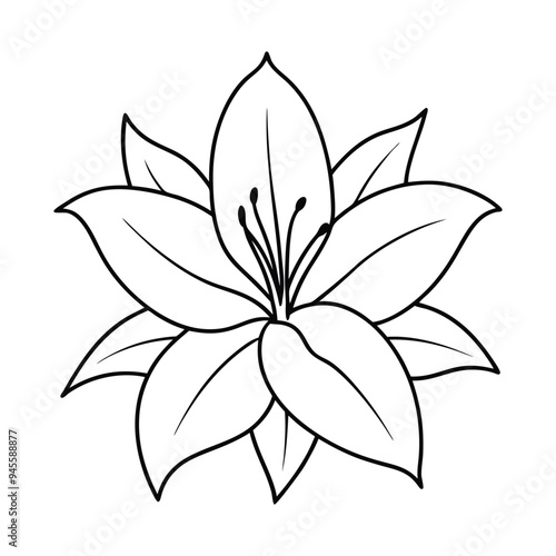 Flower Outline Design - Floral Clipart - Lily Flower Illustration in black and white