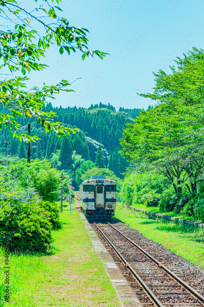 Naklejka premium 故郷へと続く線路