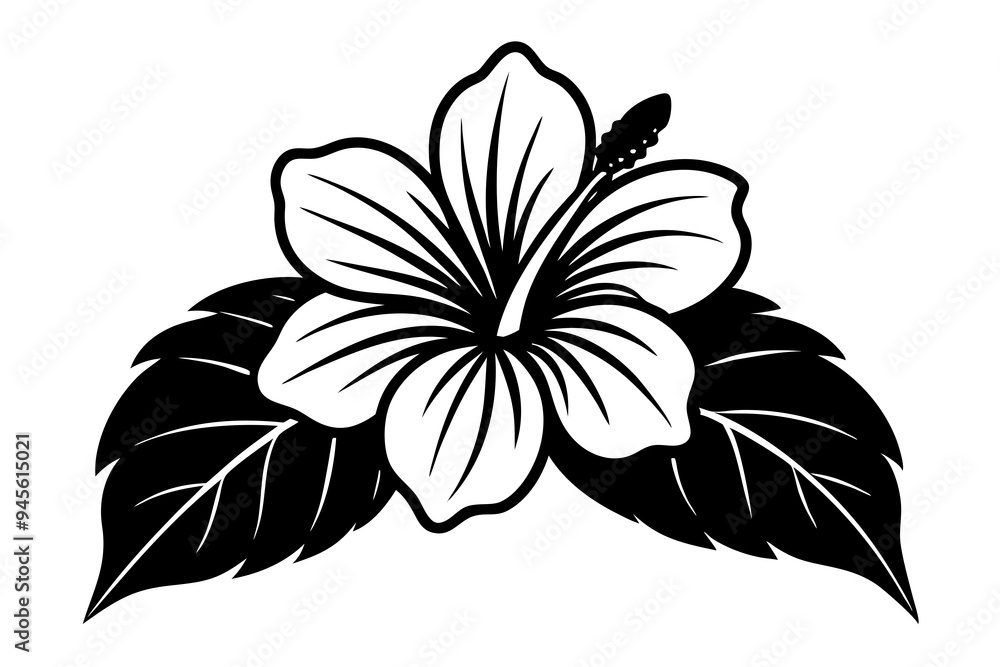 Obraz premium hibiscus flower engraving black and white outline