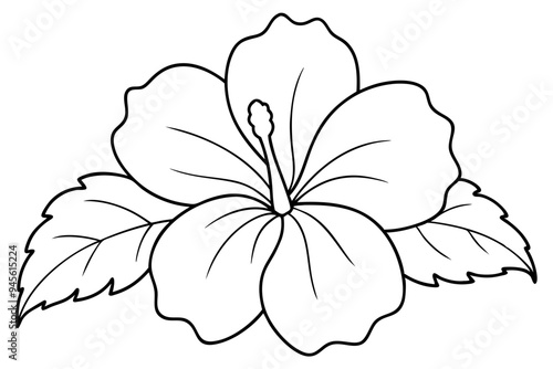 Hibiscus, flower and leaves. Vector. Coloring book page for adult. Hand drawn artwork. Black and white