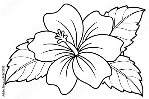 Hibiscus, flower and leaves. Vector. Coloring book page for adult. Hand drawn artwork. Black and white