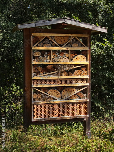 Insect hotel in Katzelsdorf, Lower Austria,Austria, Europe
 photo