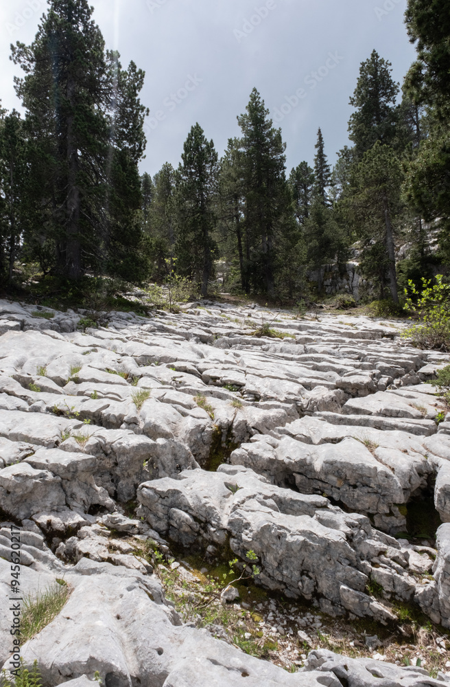 Vanoise valley. Alps. France.
