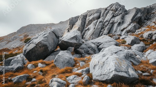 Gray Rocks on the Mountainside