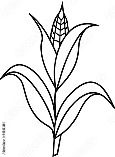 Easy corn stalk designs with few leaves for kids to enjoy and color
