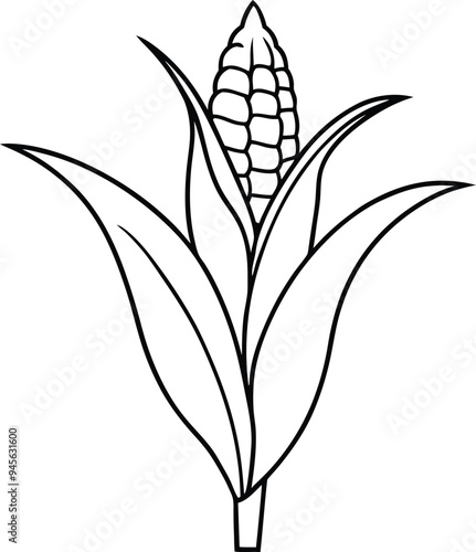 Simple corn stalk coloring pages for little artists easy and engaging
